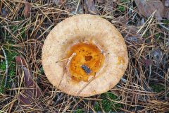 1-