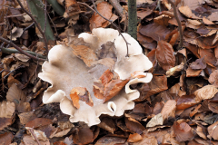 3-